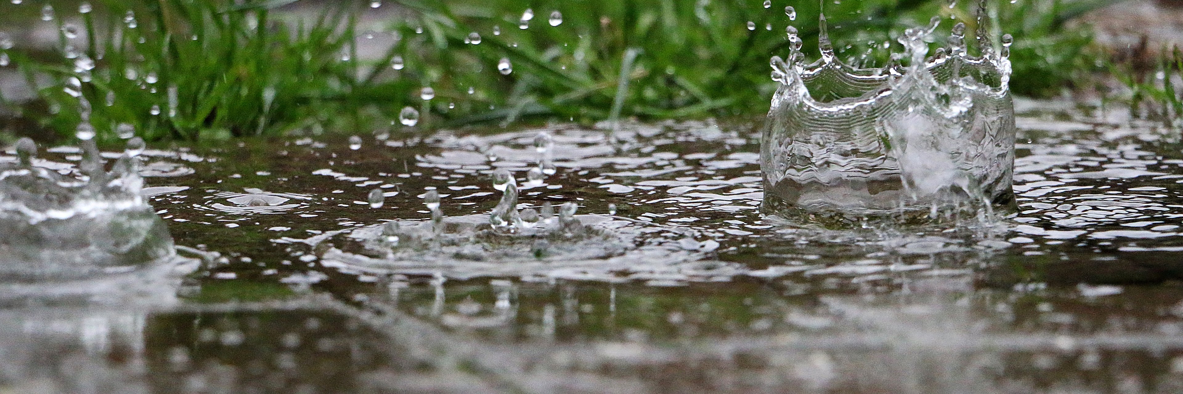 rain is falling in a puddle in the garden rain is falling in a puddle in the garden