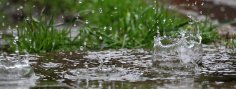 rain is falling in a puddle in the garden rain is falling in a puddle in the garden